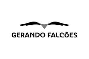 Gerando Falcões