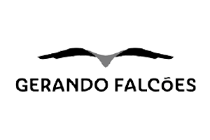 Gerando Falcões